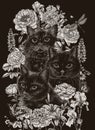 Vector illustration of 3 muzzles of black cats